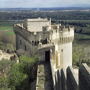 Fort Saint Andre A Villeneuve Lez Avignon